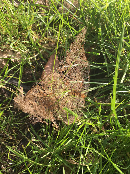 C98484BD-0A4B-439B-B0CB-F8F1B8331830